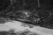 FRAGMENT & FLOW: ON PHOTOGRAPHY & NARRATIVE with Kristine Potter